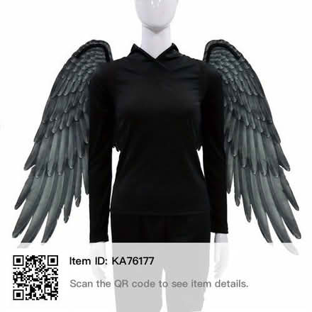 Photo of free Black Cosplay Costume Angel Wings (Springfield Union Station) #1