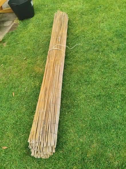 Photo of free Bamboo screening 2m x 3m (Basford NG5 Perry Rd) #2