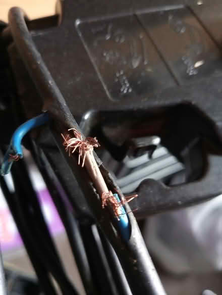 Photo of free Electric Lawnmower (Rotherham S65) #1