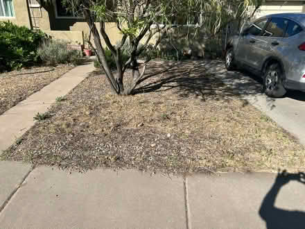 Photo of free Landscaping rock (Midtown Albuquerque) #2