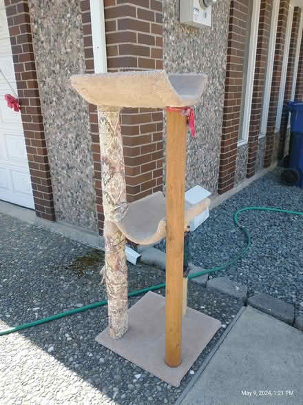 Photo of free Cat Tree (Everett, WA near Silver Lake) #1