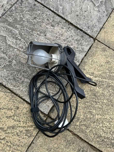 Photo of free inspection lamp (Larkfield) #1