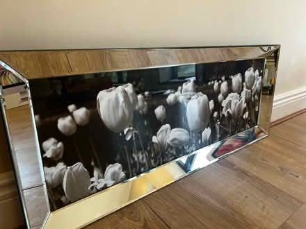 Photo of free Tulip print in mirrored frame (Poynings, BN45) #1