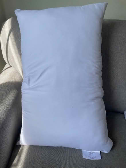 Photo of free Pillow extra firm (John Lewis) (islington N1) #1