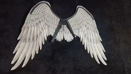 Photo of free Black Cosplay Costume Angel Wings (Springfield Union Station) #2