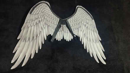 Photo of free Black Cosplay Costume Angel Wings (Springfield Union Station) #2