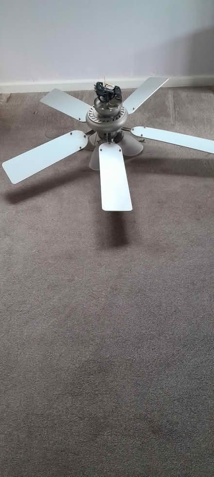 Photo of free Conservatory fan light (Crewe, Rope) #1