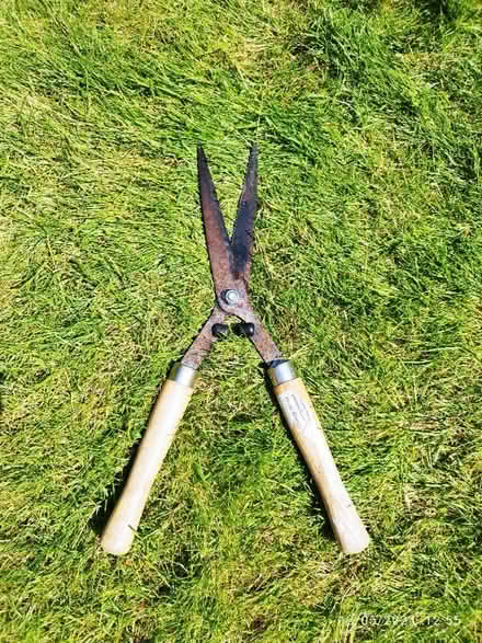 Photo of free Garden shears with wooden handles (Bear Flat) #1