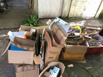 Photo of free Shed Clear-Out: Cardboard Boxes (Oaklands, St Albans) #1