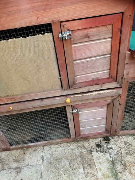 Photo of free Animal hutch (Birmingham Tyseley B11) #3