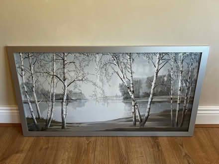 Photo of free Silver birch tree picture (Poynings, BN45) #1