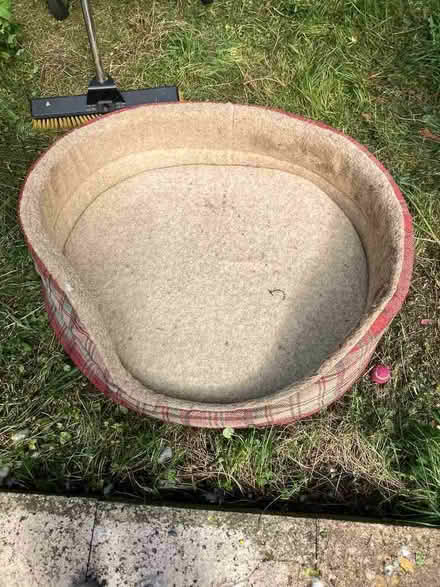 Photo of free Dog bed (Bramley LS13) #1