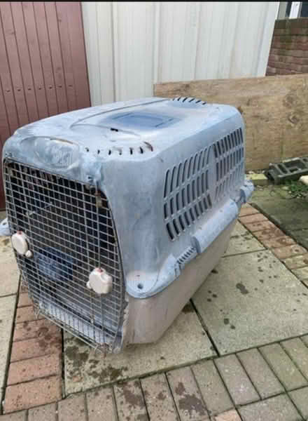 Photo of free Large dog crate (Dublin) #2