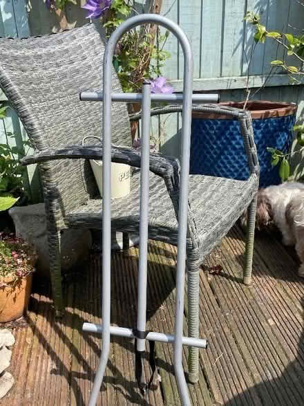 Photo of free BS30 North Common area. Dog guard (The Batch BS30) #2