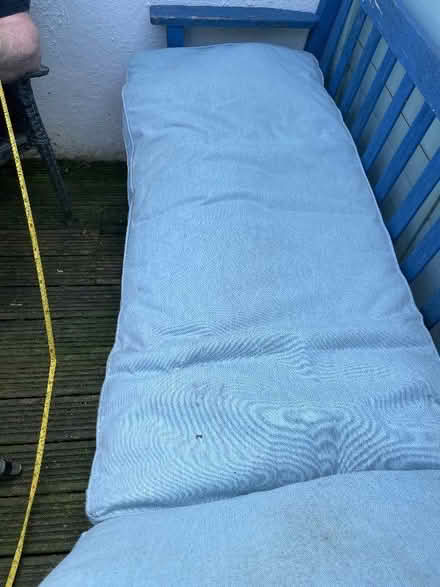 Photo of free BS30 North Common Sun Lounger cushion (The Batch) #2
