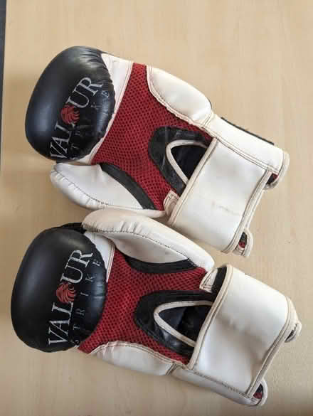 Photo of free Boxing Gloves (Downley HP13) #1