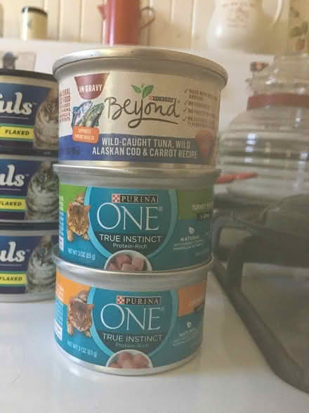 Photo of free Cat food (West Medford) #2