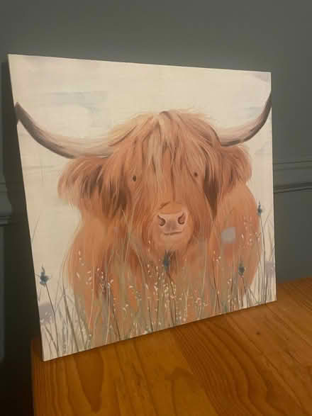 Photo of free Shetland Cow Canvas (Liss) #1