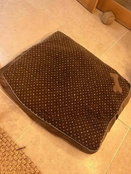 Photo of free Large dog bed (South Darley CP DE4) #1