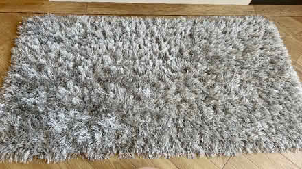 Photo of free Shaggy Rug (Ware SG12) #1