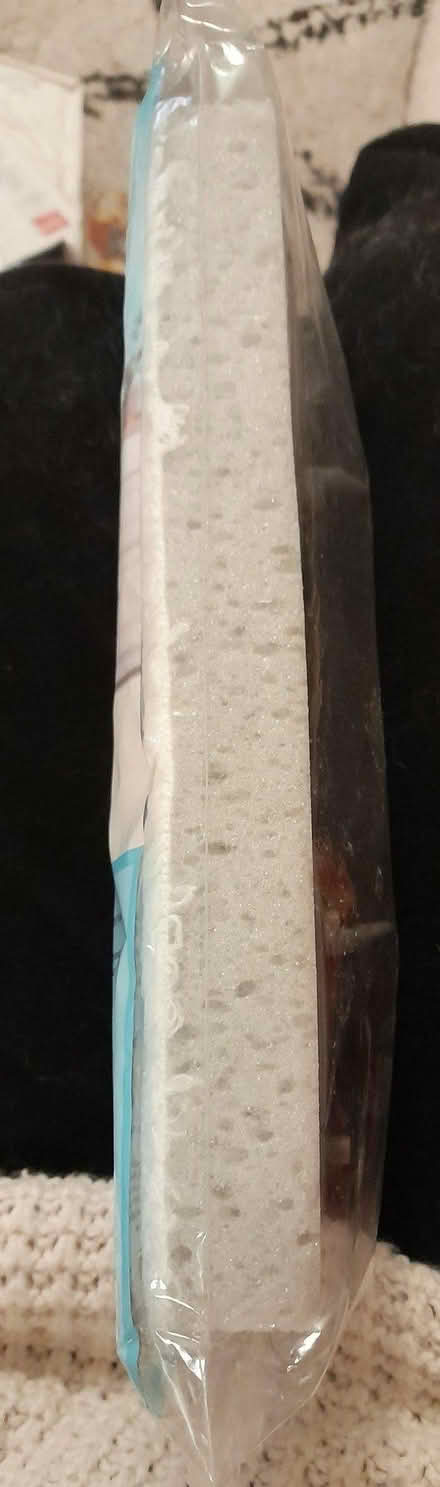 Photo of free Sponge Mop Head/Refill (Newtown, Exeter) #2