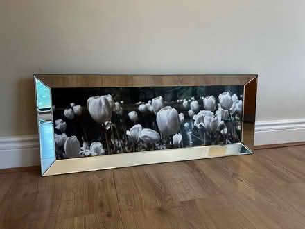 Photo of free Tulip print in mirrored frame (Poynings, BN45) #2