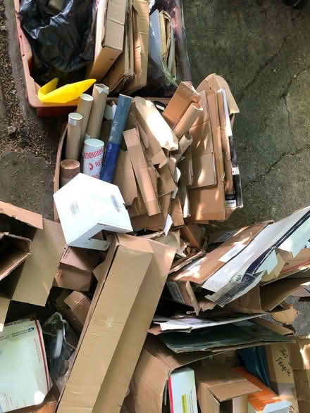 Photo of free Shed Clear-Out: Cardboard Boxes (Oaklands, St Albans) #3