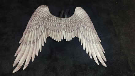 Photo of free Black Cosplay Costume Angel Wings (Springfield Union Station) #3