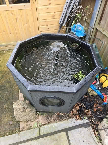 Photo of free Free standing pond incl fish (Park Street, St Albans AL2) #1