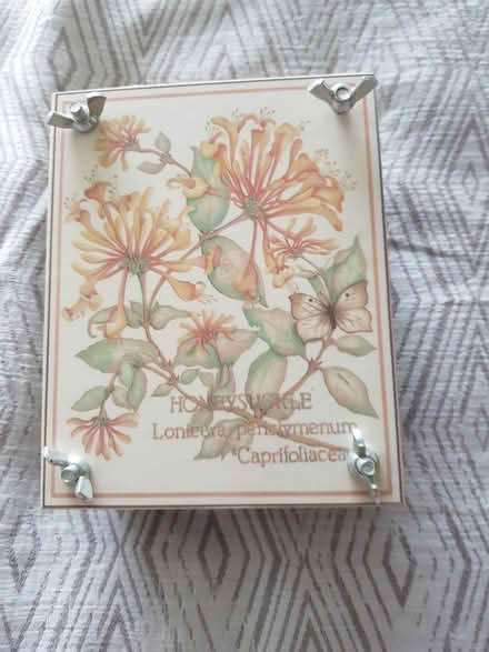 Photo of free Small flower press (Gilgarran CA14) #1