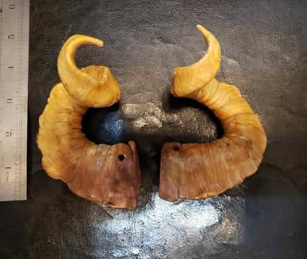 Photo of free Horns for costuming (fake) (Dexter Ave near Frmt bridge) #1