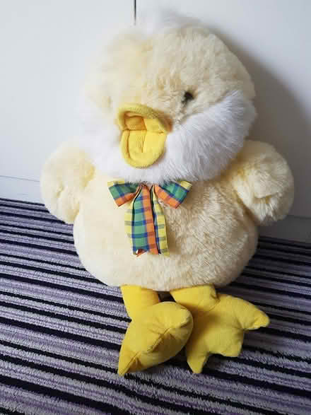 Photo of free Large cuddly chicken (Gilgarran CA14) #1