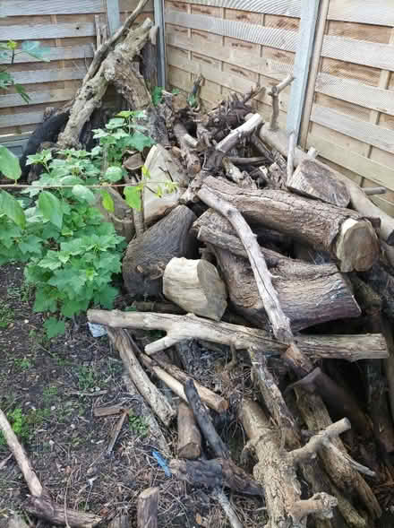 Photo of free Wood. Logs for log fire. (Spring Grove TW7) #1