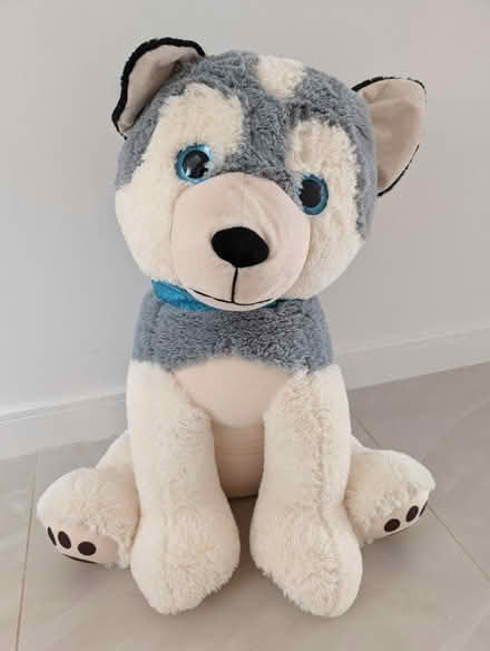 Photo of free Large teddy (HA7 Stanmore) #1