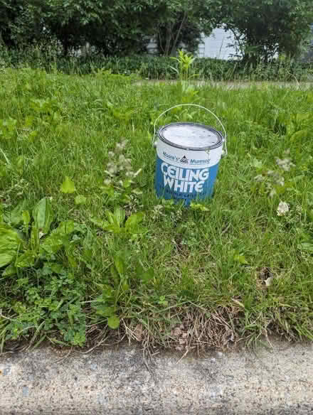 Photo of free Old white ceiling paint (Highlands in State College) #1