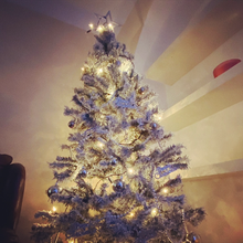 Photo of free Christmas Tree (Richmond) #1