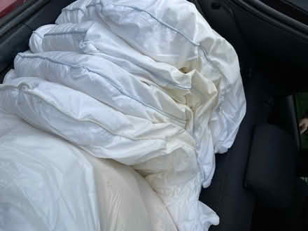 Photo of free Duvet & pillows (Carlisle CA1) #2