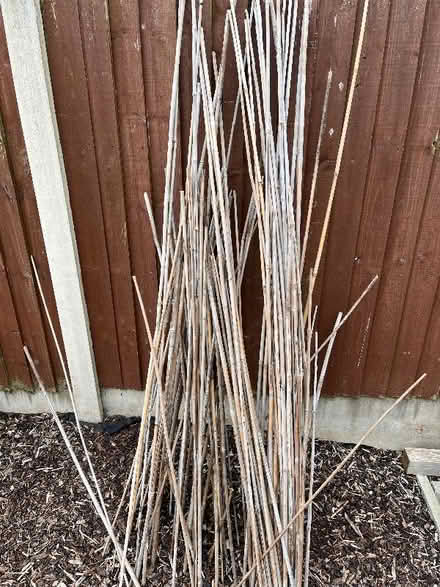 Photo of free Garden Canes (multiple) - SY2 (Monkmoor SY2) #1