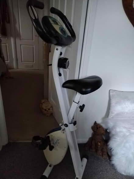 Photo of free Davina Exercise Bike (Peacehaven, BN10) #2