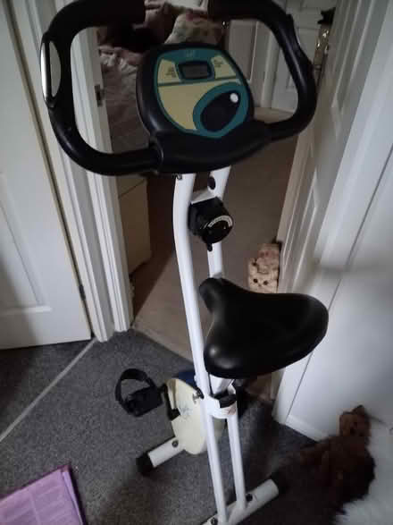 Photo of free Davina Exercise Bike (Peacehaven, BN10) #1
