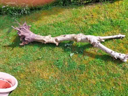 Photo of free Wood (Littleover DE23) #1