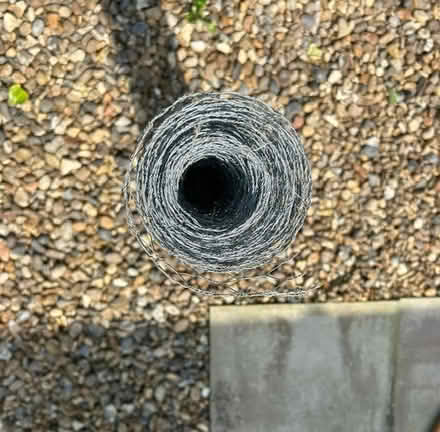 Photo of free Galvanised wire netting (Martham NR29) #2