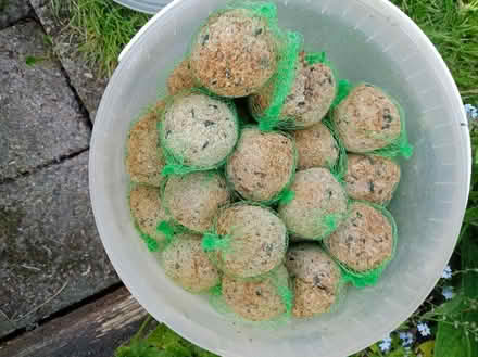 Photo of free Tub of fat balls (DA4) #1