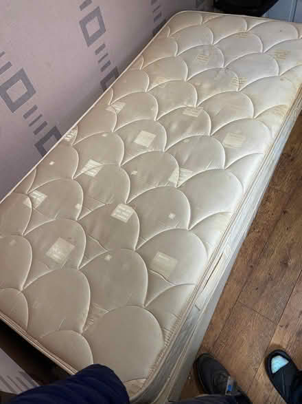 Photo of free Single Bed (Westhougton) #1