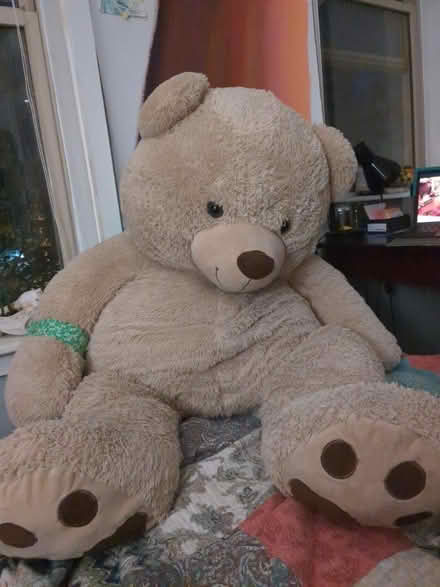 Photo of free Giant teddy bear (North Philly. ~Brewerytown) #1