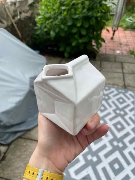 Photo of free Novelty milk jug (Penylan CF23) #1
