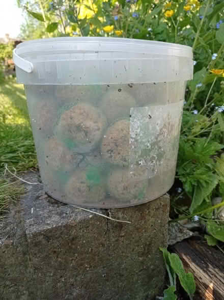 Photo of free Tub of fat balls (DA4) #2