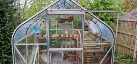 Photo of free Greenhouse (Stourbridge DY5) #4