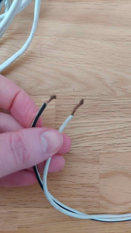 Photo of free Old speaker or 12v wire (SL6 furze platt) #2
