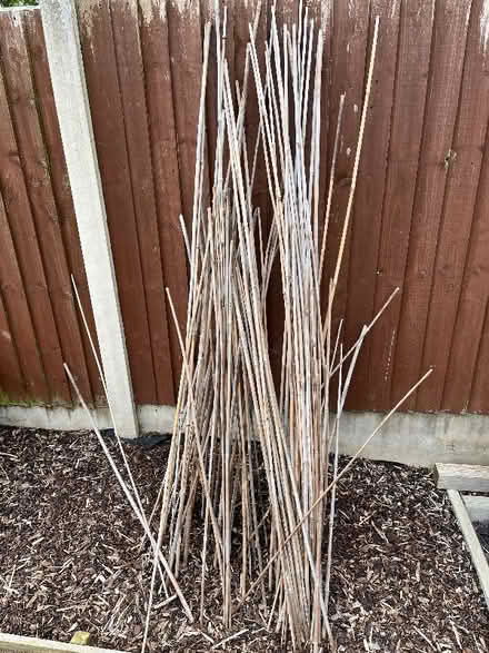 Photo of free Garden Canes (multiple) - SY2 (Monkmoor SY2) #2